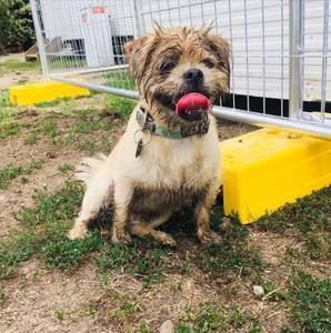 Meet your Posher, Naomi